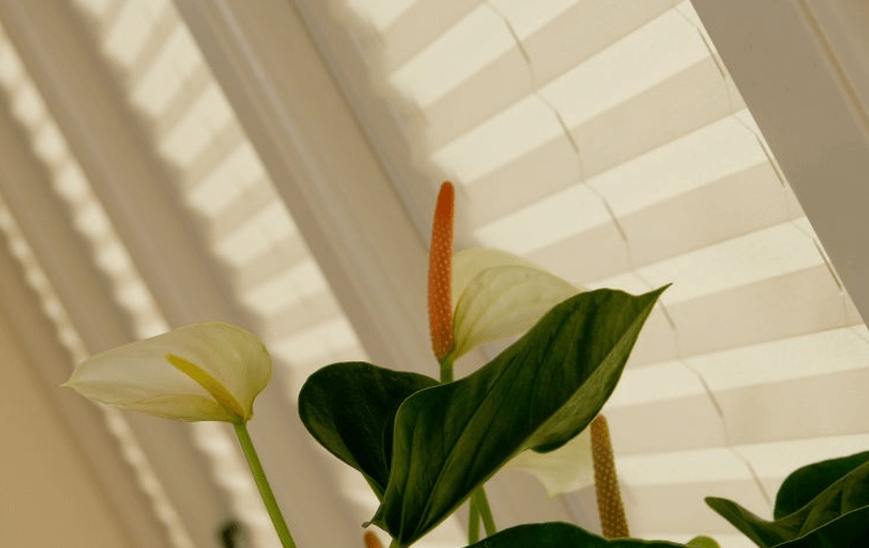 Pleated Conservatory Blinds
